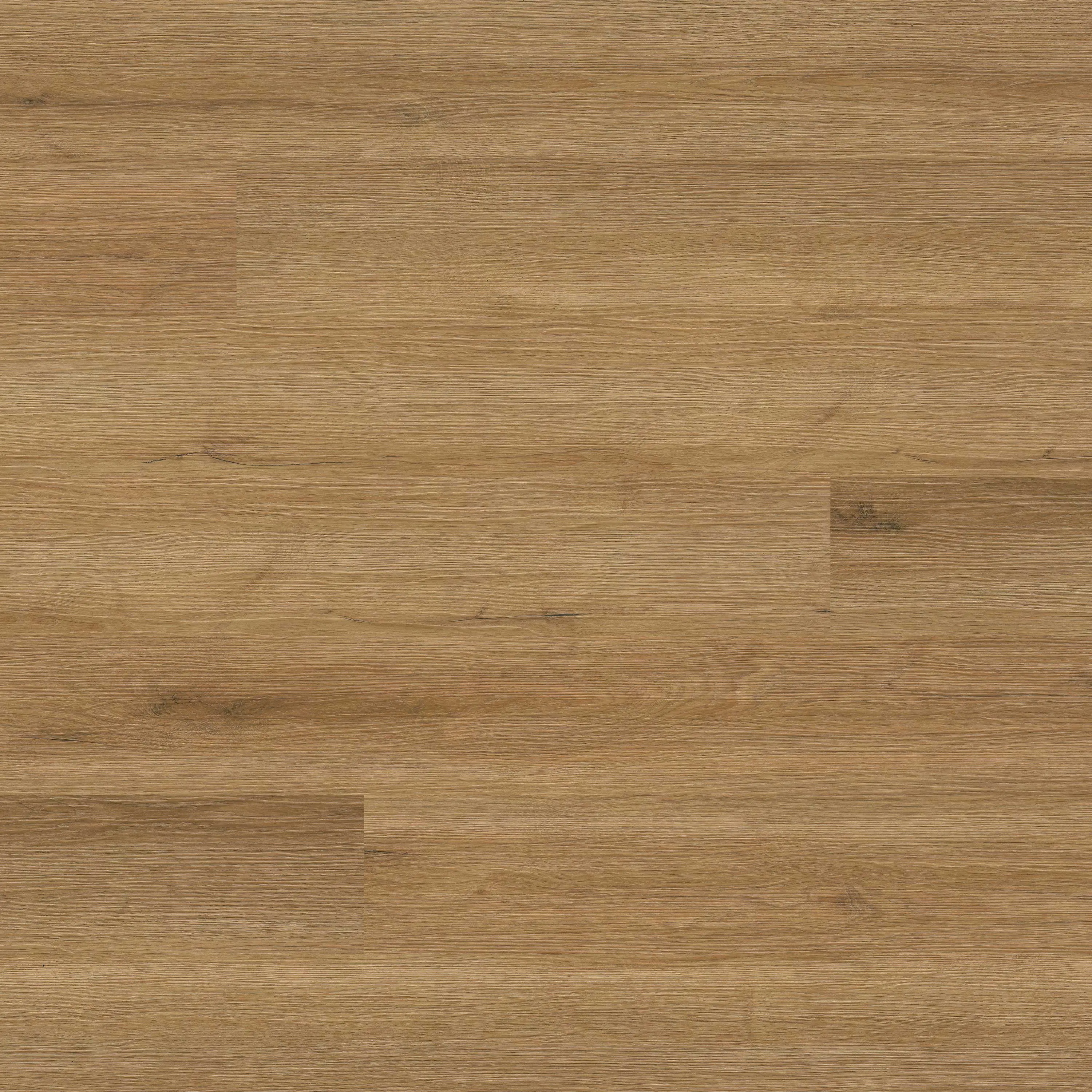 Cyrus Amber Forrester Luxury Vinyl Planks