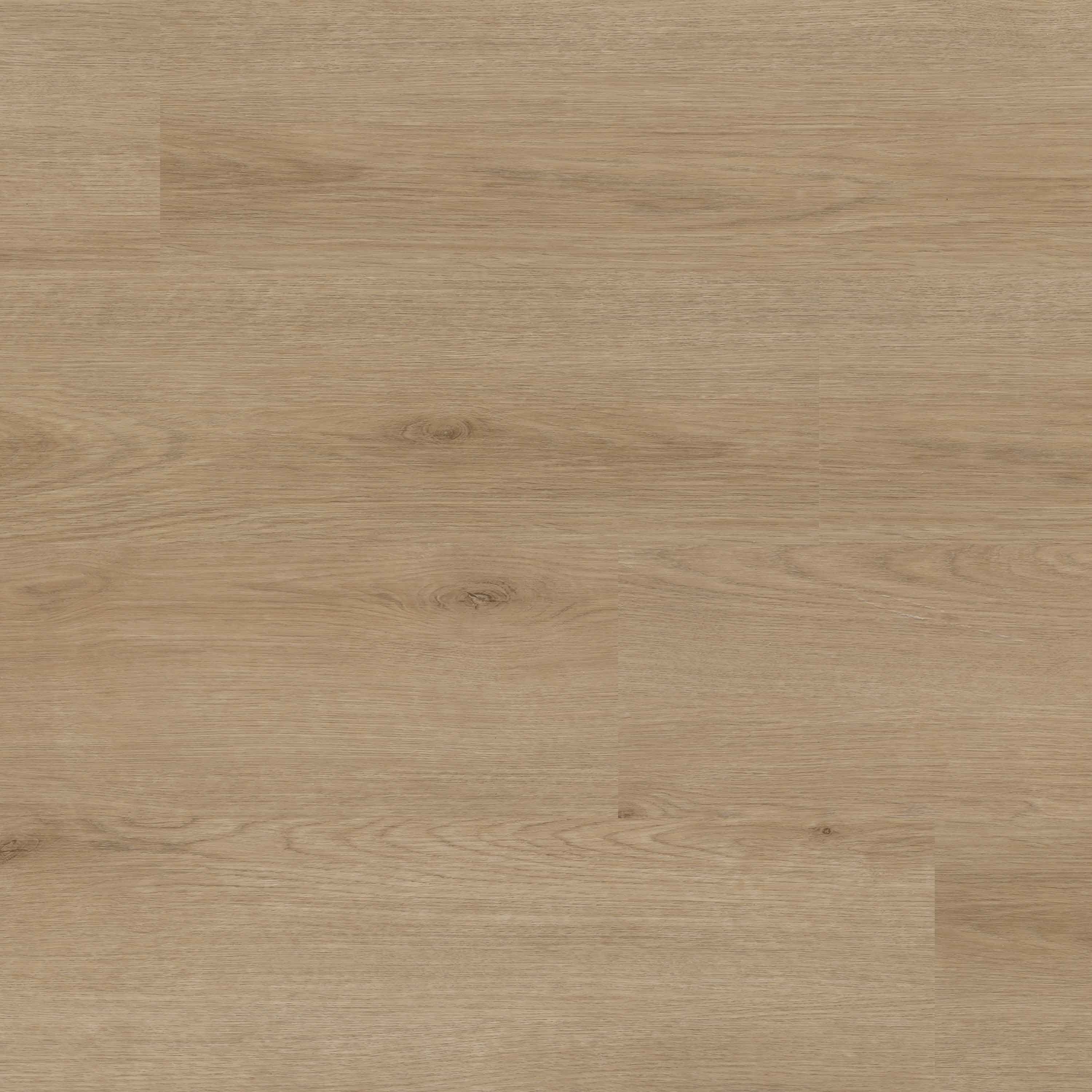 XL StudioTM XL Studio Bozeman Luxury Vinyl Planks