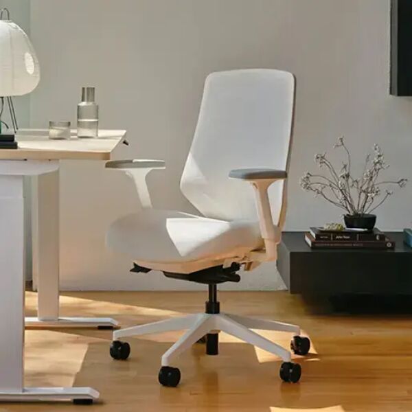 Ergonomic Chair Pro (Test 2)