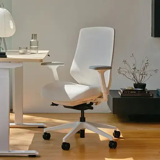 Ergonomic Chair Pro (Test3)
