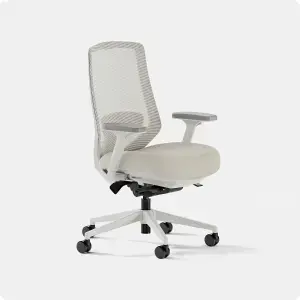 Ergonomic Chair Pro (Test3)